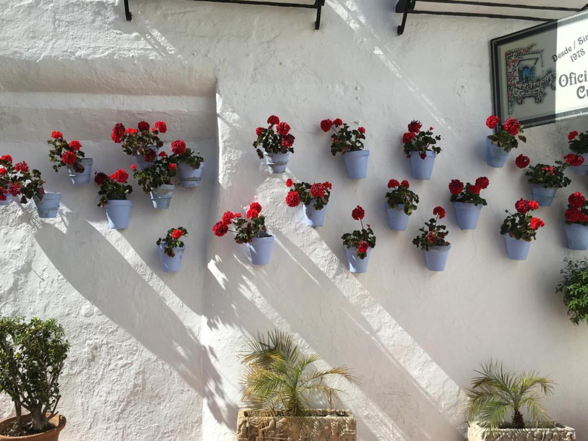 Appartement Paris Dream - Torremolinos Extérieur photo